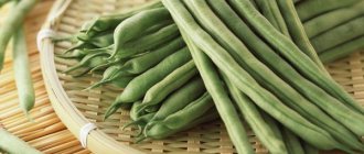 Стручковая фасоль: калорийность