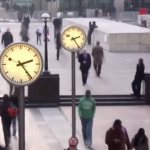 Суета жизни