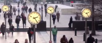 Суета жизни