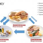 Суточная норма потребления БЖУ