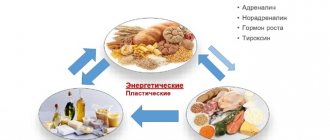 Суточная норма потребления БЖУ