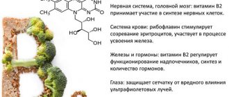 Свекла с чесноком и майонезом. Калорийность, польза, вред, БЖУ. Рецепты
