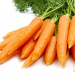 Свежая морковь с ботвой