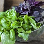 Свежая трава