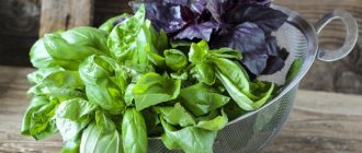 Свежая трава