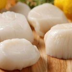 Свежие морские гребешки