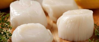 Свежие морские гребешки