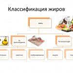 Типы пищевых жиров