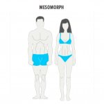 типы телосложений