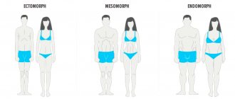типы телосложений