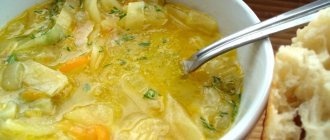 Топ 10 рецептов (28.8 ккал) капустного супа для похудения вкусные диетические низкокалорийные блюда с БЖУ