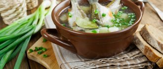 Уха из горбуши, головы и хвоста. С пшеном, рисом, перловкой. Рецепты на костре, в мультиварке