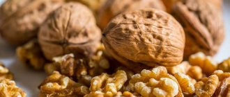 Употребление грецких орехов при похудении: можно ли есть и в каком количестве