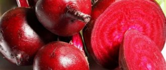 Употребление в пищу свеклы чрезвычайно полезно