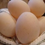 утиные яйца польза и вред