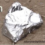 в каких продуктах содержится цинк