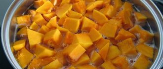 Выпечка из тыквы. Рецепты в духовке, мультиварке с творогом, яблоками, кефиром без сахара, яиц, муки, молока