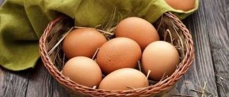 Яйца