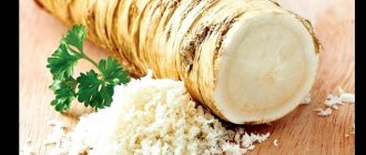 Заготовка хрена в домашних условиях на зиму Как сохранить хрен