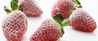 Замороженная клубника