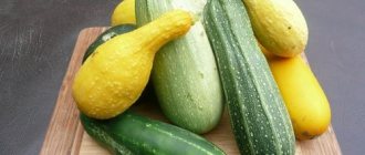 Зеленые овощи. Какие это, список, польза для похудения, калорийность