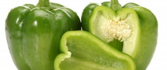Зеленый перец
