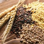 Зерна для проращивания