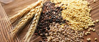 Зерна для проращивания