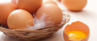 Желток куриного яйца
